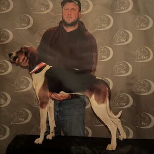 Meet your Posher, Justin